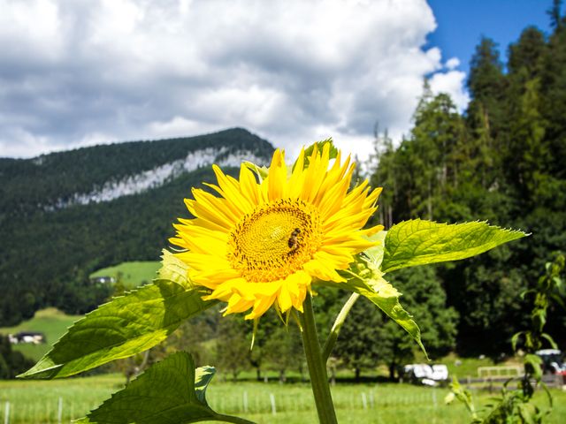 Ferienwohnung Kuhstall